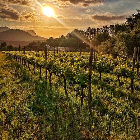 Glamping At The Well In Franschhoek Exterior foto
